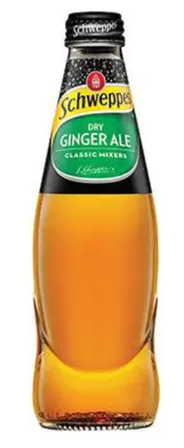 Dry Ginger Ale - small - 300ml